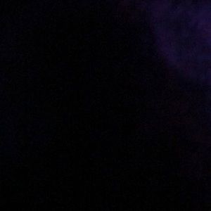 Meet your Posher, Pepper